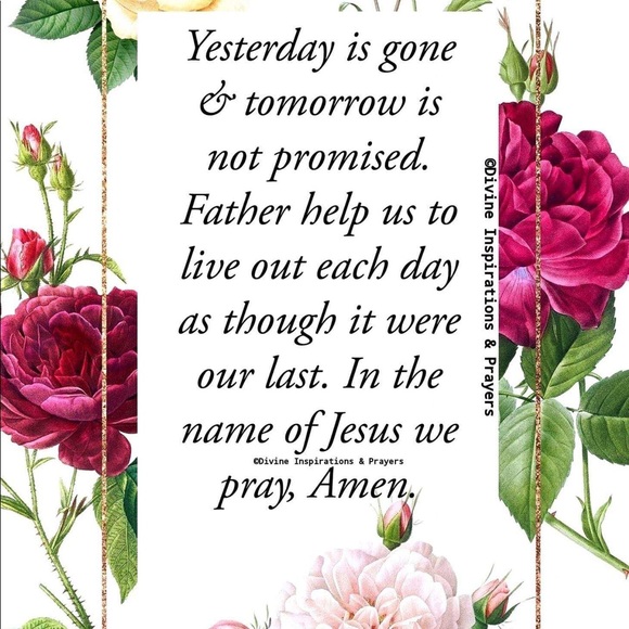 Meet your Posher, L - Picture 1 of 1